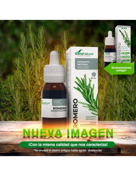 EXTRACTO DE ROMERO - 50 ml