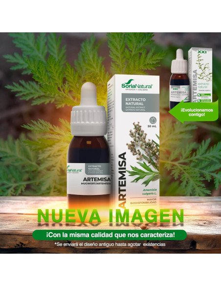 EXTRACTO DE ARTEMISA - 50 ml