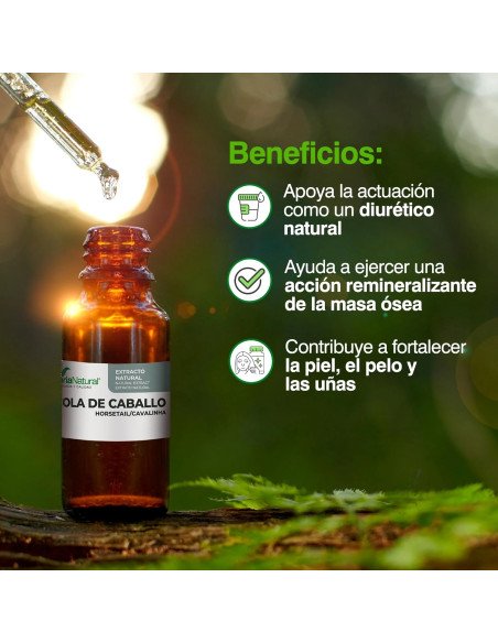 EXTRACTO DE COLA DE CABALLO - 50 ml