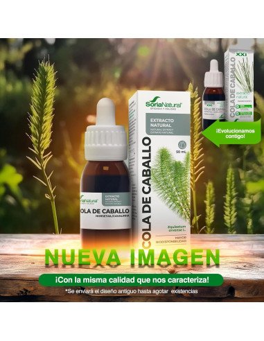 EXTRACTO DE COLA DE CABALLO - 50 ml