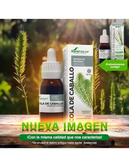 EXTRACTO DE COLA DE CABALLO - 50 ml