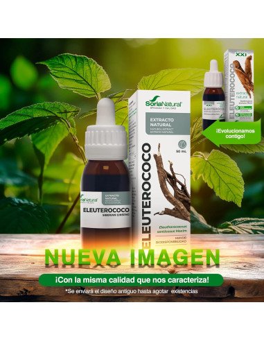 EXTRACTO DE ELEUTEROCOCO - 50 ml