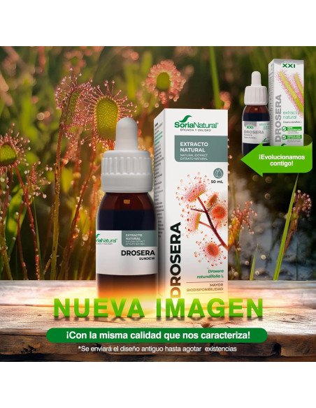 EXTRACTO DE DROSERA - 50 ml