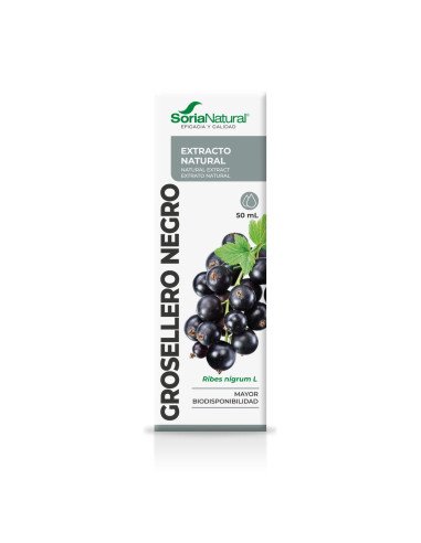 EXTRACTO DE GROSELLERO NEGRO - 50 ml