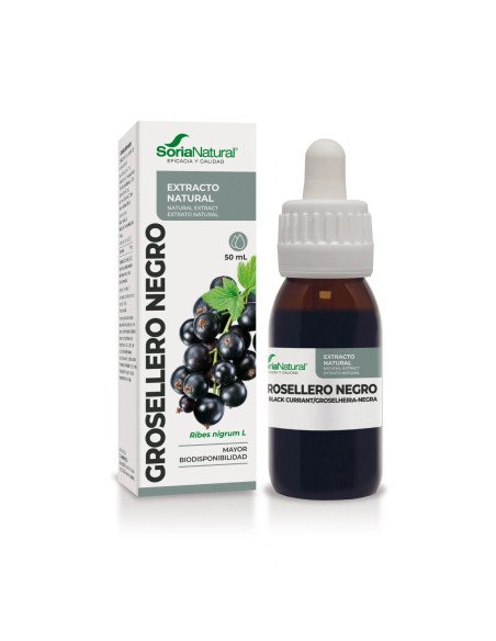 EXTRACTO DE GROSELLERO NEGRO - 50 ml