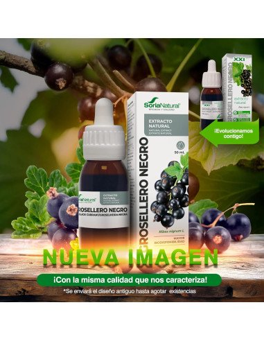 EXTRACTO DE GROSELLERO NEGRO - 50 ml