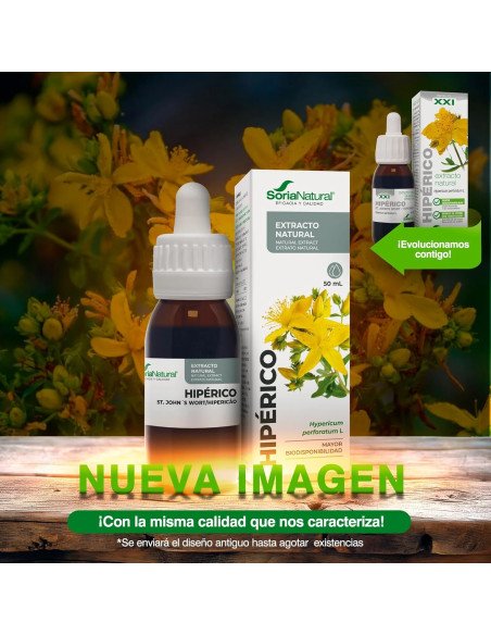 EXTRACTO DE HIPERICO - 50 ml