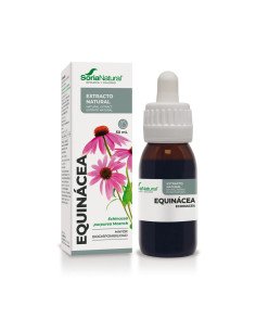 EXTRACTO DE EQUINACEA - 50 ml