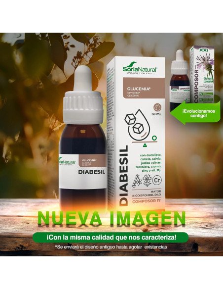COMPOSOR 17 DIABESIL - 50 ml