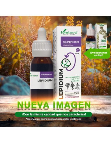 COMPOSOR 25 LEPIDIUM - 50 ml