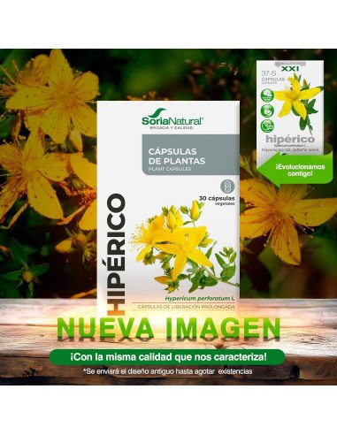 HIPÉRICO 37-S - 30 caps