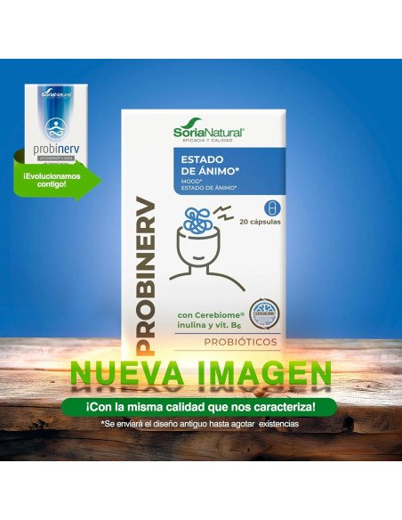PROBINERV - 20 caps