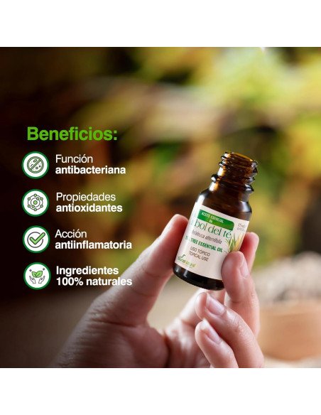 ACEITE ESENCIAL DE ARBOL DEL TÉ - 15 ml