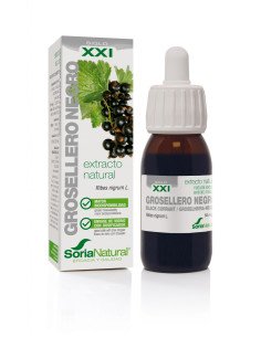 EXTRACTO DE GROSELLERO NEGRO - 50 ml