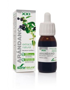 EXTRACTO DE ARANDANO - 50 ml