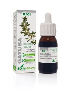 EXTRACTO DE GAYUBA - 50 ml