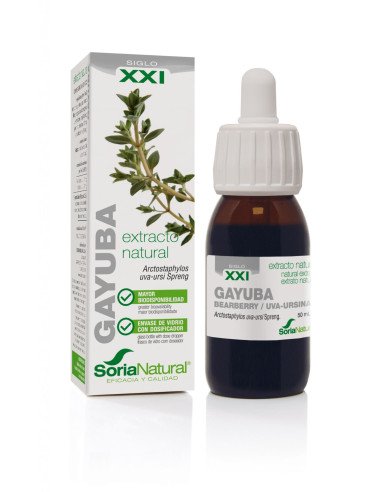 EXTRACTO GAYUBA S XXI  50 ml