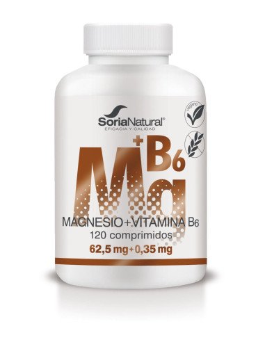 MAGNESIO + VIT B6 120 comp X 1550 mg LIB SOSTENIDA