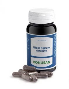 RIBES NIGRUM EXTRACTO - 60 caps 2