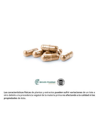 GINSENG & GUARANA 400 mg - 50 caps