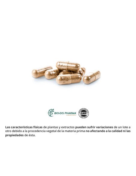 GINSENG & GUARANA 400 mg - 50 caps