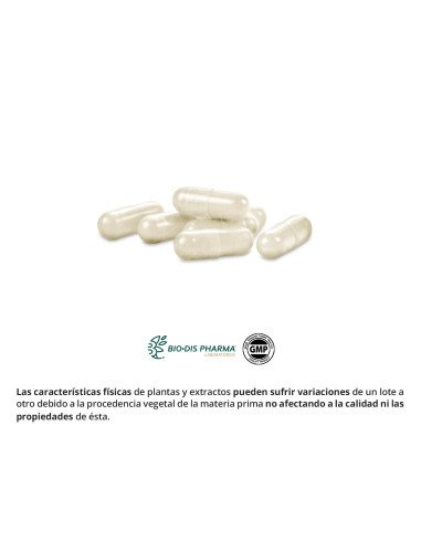 GINSENG ROJO 500 mg - 50 caps