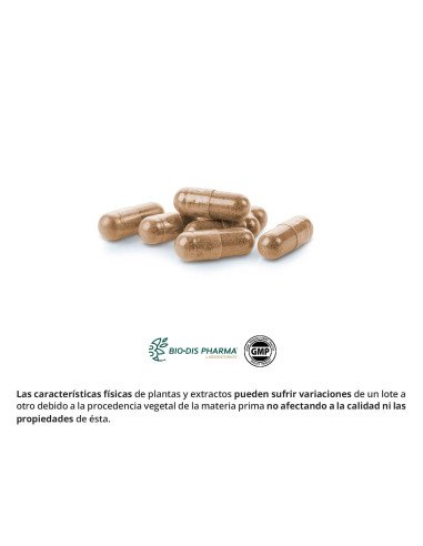 GUARANA 600 mg - 50 caps