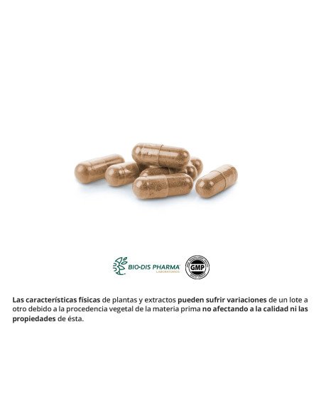 GUARANA 600 mg - 50 caps