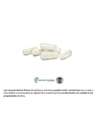 L-ARGININA 500 mg - 50 caps