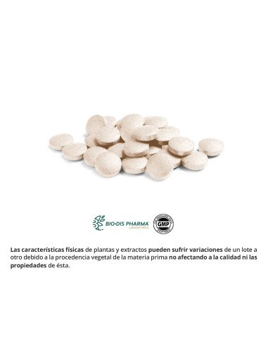 PROPOLIS 800 mg - 60 comp