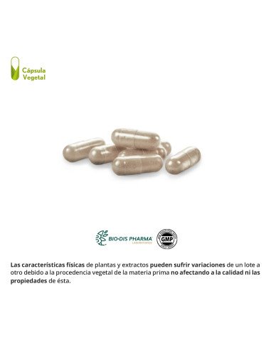 CENTELLA ASIATICA COMPLEX 2500 mg - 60 vcap