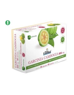 GARCINIA CAMBOGIA 800 mg - 60 caps