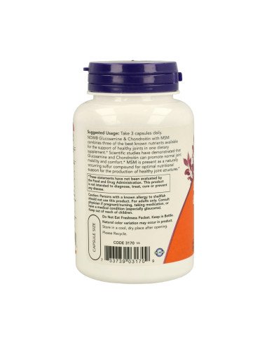 GLUCOSAMINA Y CONDROITINA + MSM - 90 caps