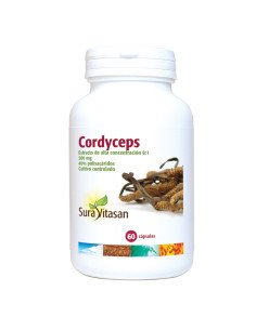 CORDYCEPS 500 mg - 60 caps