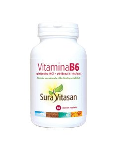 VITAMINA B6 - 60 caps