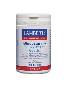 GLUCOSAMINE & PHYTODROITIN COMPLEX - 120 comp