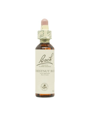 BACH® 07 CHESTNUT BUD - 20 ml