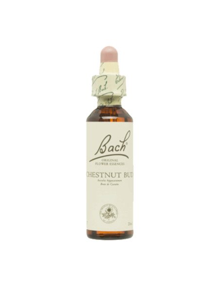 BACH® 07 CHESTNUT BUD - 20 ml