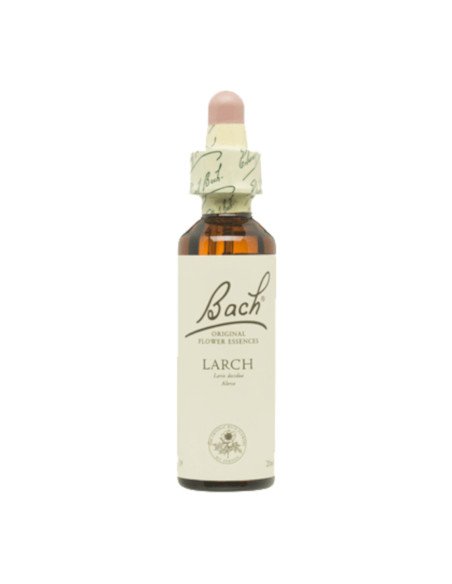 BACH® 19 LARCH - 20 ml