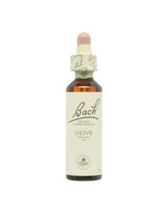 BACH® 23 OLIVE - 20 ml