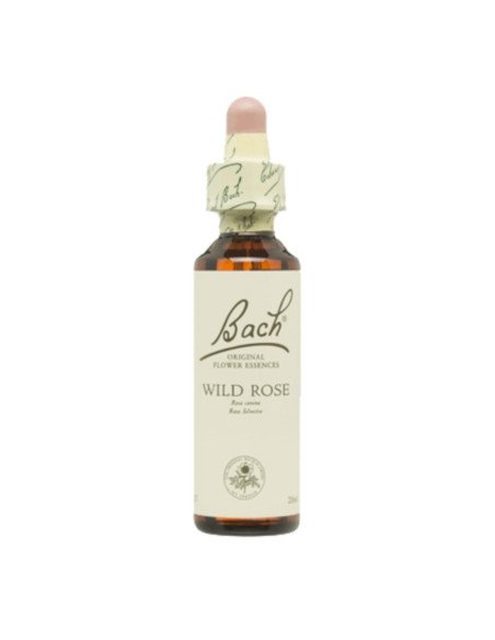 BACH® 37 WILD ROSE - 20 ml