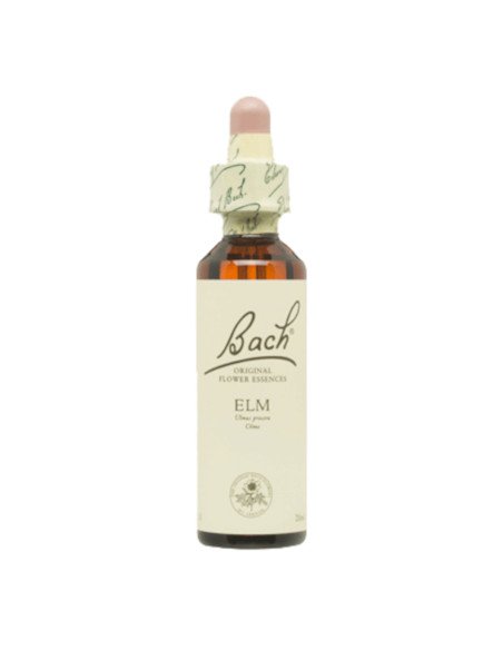 BACH® 11 ELM - 20 ml