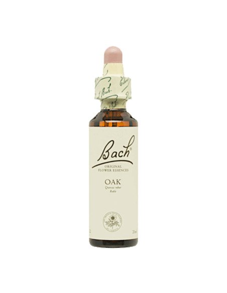 BACH® 22 OAK - 20 ml