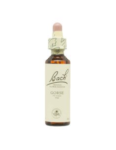BACH® 13 GORSE - 20 ml