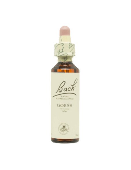 BACH® 13 GORSE - 20 ml
