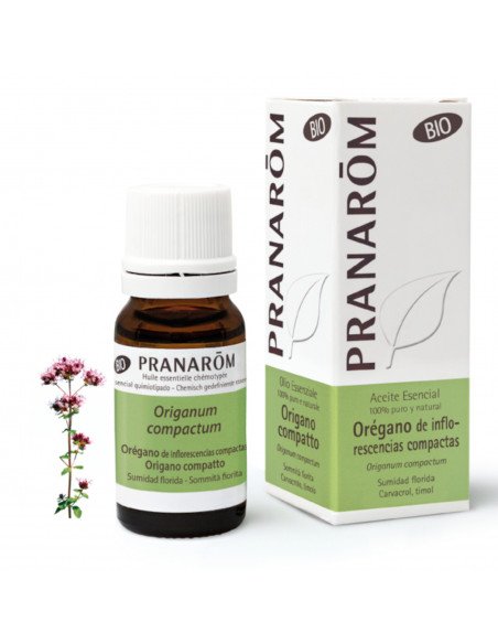 ACEITE ESENCIAL OREGANO INFLORESCENCIAS COMPACTAS BIO - 10 ml