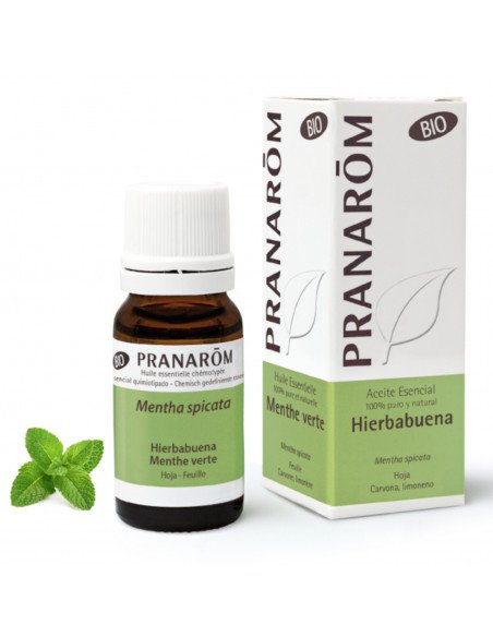 ACEITE ESENCIAL HIERBABUENA BIO - 10 ml