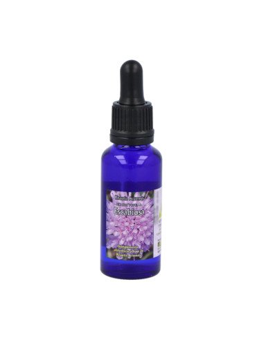 ESCABIOSA LUZ 15 ml