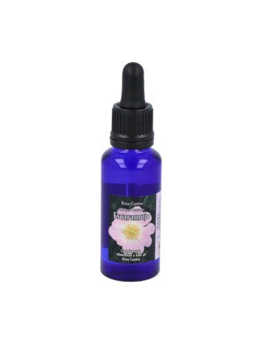 ESCARAMUJO LUZ 30 ml