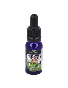 MADRESELVA LUZ - 15 ml